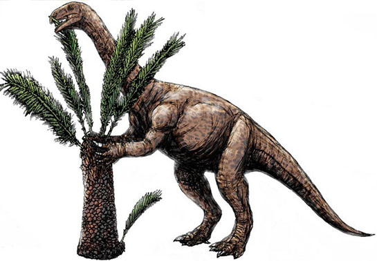 黑水龙是已知最古老的恐龙之一
