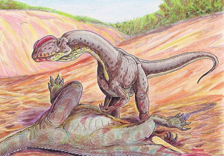 双脊龙,食肉恐龙