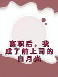 离职后，我成了前上司的白月光