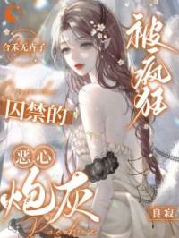 青春小说《炮灰快穿：全世界里姐最美》主角秦邵琴幼枫白俟全文精彩内容免费阅读